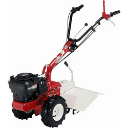 Eurosystems P 55 Σκαπτικό Βενζίνης Τετράχρονο Briggs & Stratton