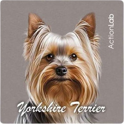 Action Lab Μαγνητάκι Magnet Yorkshire Terier