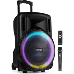 Fenton FT15 LED Σύστημα Καραόκε με Ασύρματο Μικρόφωνο