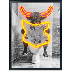 Πίνακας Highlander Toilet Με Neon LED Φωτισμό 50x70 Εκ