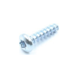 Πλαστικόβιδα Torx 4x16 | 1τμχ