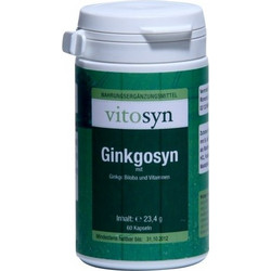 Metapharm Vitosyn Ginkgosyn 60 Κάψουλες