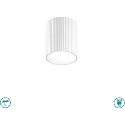 Luce Πλαφονιέρα Οροφής I-NAOS-R1 8031414930920