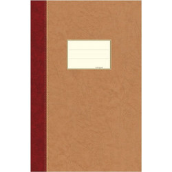 Φυλλάδες Ριγέ Ntelon - 25x35cm - 100 φύλλα 805.2.00049