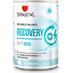 Disugual Metabolic Balance Recovery Diet Dog Salmon 400gr