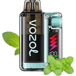 Vozol Vista Plug 20mg 2ml Kit + 10ml e liquid Miami Mint Default Title