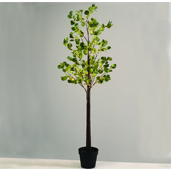 ACA EUCALYPTUS LEAF TREE 210 WW LED ΛΑΜΠ. ΑΝΤΑΠΤ:4,5V IP44 ΥΨΟΣ 150cm ΓΛΑΣΤΡΑ 5m ΚΑΛ ACA - X102101449