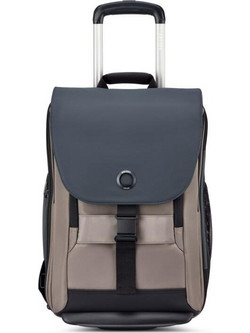 Delsey Securflap Σακίδιο Πλάτης Καφέ