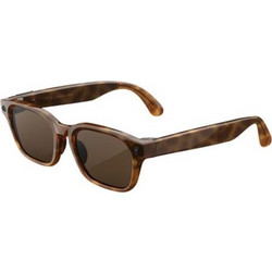 Meta Glasses Adventurer Classic Tortoise Frame, Brown Lens, Standard & Adjustable Bridge (SK-1001882-01)