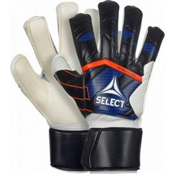 Select 04 Protection v24 T26-18448