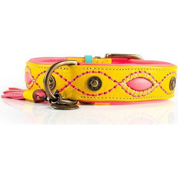Dwam Jessy Δερμάτινο Κολάρο Σκύλου Κίτρινο 4x43-48cm