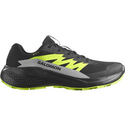 Salomon Alphaglide GTX Ανδρικά Αθλητικά Παπούτσια Trail Running Μαύρα L47802000