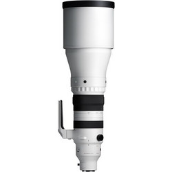 Sigma 300-600mm f/4 DG OS Sports Sony E