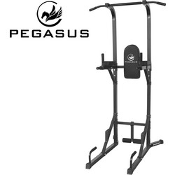 Pegasus PG-026A