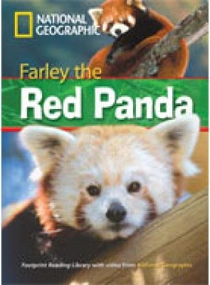Farley the Red Panda