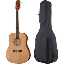 Harley Benton D-120NT with Bag