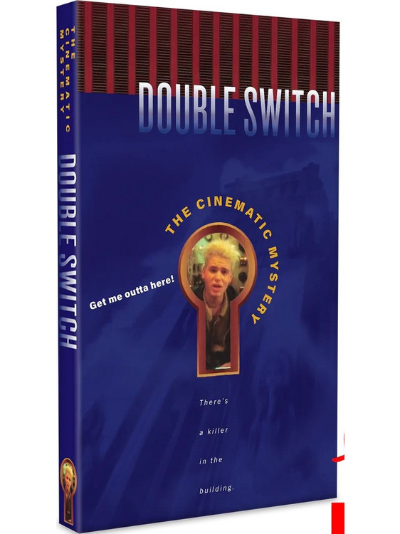 Double Switch Nintendo Switch