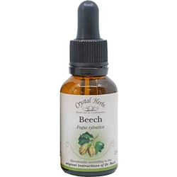 Crystal Herbs Beech Ανθοΐαμα σε Σταγόνες για Ανεκτικότητα 25ml