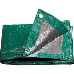 Compass 4m x 5m 190gr 11325