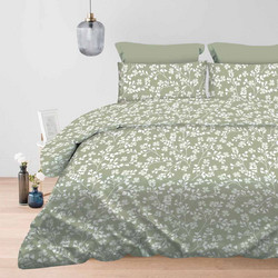 Astron Σετ Σεντόνια Υπέρδιπλα Βαμβακερά 245x260 Daisy Olive
