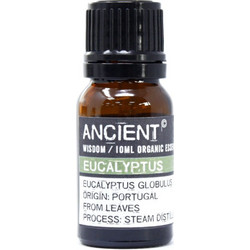 Ancient Wisdom Βιολογικό Αιθέριο Έλαιο Ευκάλυπτος 10ml