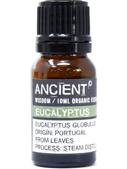 Ancient Wisdom Βιολογικό Αιθέριο Έλαιο Ευκάλυπτος 10ml