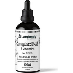 Landmark Complex Β-25 Πολυβιταμίνες Σκύλου σε Σιρόπι 200ml