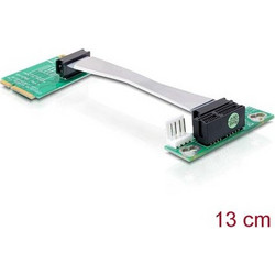 DeLOCK 41370 Riser Card 0.13m