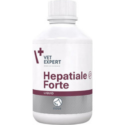 VetExpert Hepatiale Forte Πολυβιταμίνες Σκύλου & Γάτας για Ηπατικές Παθήσεις σε Σιρόπι 250ml