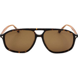 Web WE0338 52H Ανδρικά Γυαλιά Ηλίου Aviator Κοκάλινα Ταρταρούγα με Καφέ Φακό