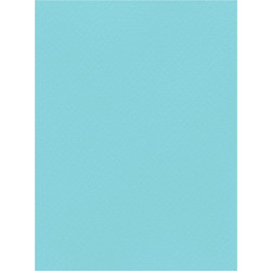 Favini Χαρτόνι Κανσόν Γαλάζιο 70x100cm 831.70100.20T