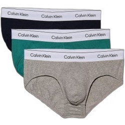 Calvin Klein Ανδρικά Σλιπ Βαμβακερά 3Pack LV00NB4388-VR1