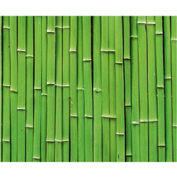 Ursus Bamboo Χαρτόνι Κολάζ Πράσινο 50x68cm 10τμχ 187127118