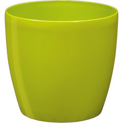 Plastona Roto Κασπώ Δαπέδου Πλαστικό Lime 16x14.5cm 10.02.0049