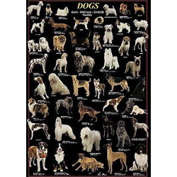 Puzzle Ricordi Dogs 1000 Κομμάτια