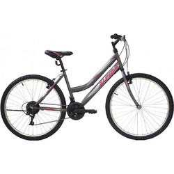 Alpina Alpha Παιδικό Mountain Bike 24" με 21 Tαχύτητες Γκρι