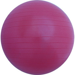 Perk Sports Antiburst Μπάλα Γυμναστικής 55cm PBL3101-55