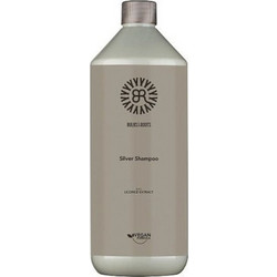 Bulbs & Roots Silver Σαμπουάν για Προστασία Χρώματος για Βαμμένα Μαλλιά 1lt