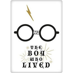 ΜΕΤΑΛΛΙΚΟΣ ΜΑΓΝΗΤΗΣ ΧΑΡΙ ΠΟΤΕΡ THE BOY WHO LIVED - HARRY POTTER METAL MAGNET 9x6,5cm 47729