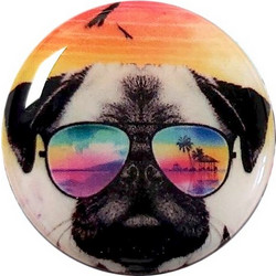COOL PUG