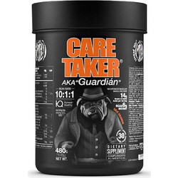 Zoomad Labs Caretaker BCAAs 10:1:1 Orange 480gr