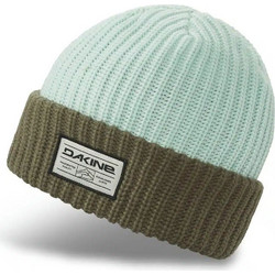 Σκούφος Albert Beanie Dakine turtledone/stone Πράσινο-Καφέ