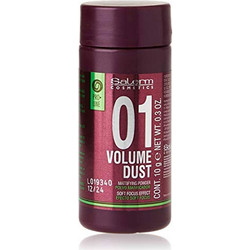 Salerm 01 Matifying Volume Dust Powder 10gr