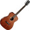 Cort AF510M