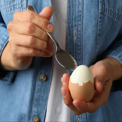 ΗΛΕΚΤΡΙΚΟΣ ΑΤΜΟΜΑΓΕΙΡΑΣ ΑΥΓΩΝ 7 ΘΕΣΕΩΝ 350W - EGG POCHER