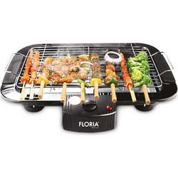 Zilan ZLN2867 Ηλεκτρική Ψησταριά Σχάρας 2000W με Ρυθμιζόμενο Θερμοστάτη 21.5x34cm