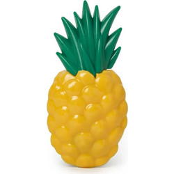 ΣΕΤ 4 ΣΤΗΡΙΓΜΑΤΑ ΓΙΑ ΠΕΤΣΕΤΑ ΘΑΛΑΣΣΗΣ PINEAPPLE LEGAMI