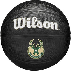 Wilson Boston Celtics Mini Ball WZ4017606XB3