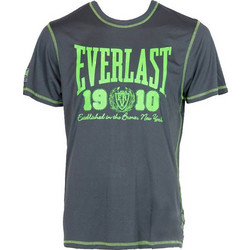 Everlast Fluo Ανδρικό Αθλητικό T-Shirt Ανθρακί EVR8850-GRY