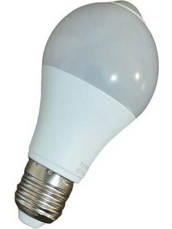 Έξυπνος λαμπτήρας 12W E27 6500K RZ-142